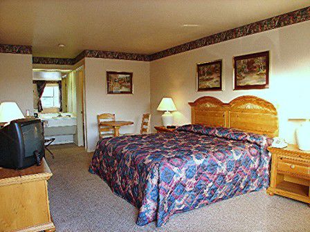 Lakeside Inn & Suites By Oyo Mathis I 37 Номер фото